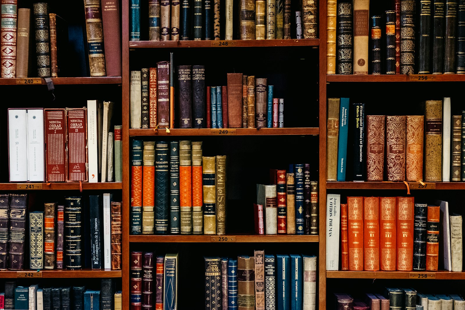 Bookshelves in the school library